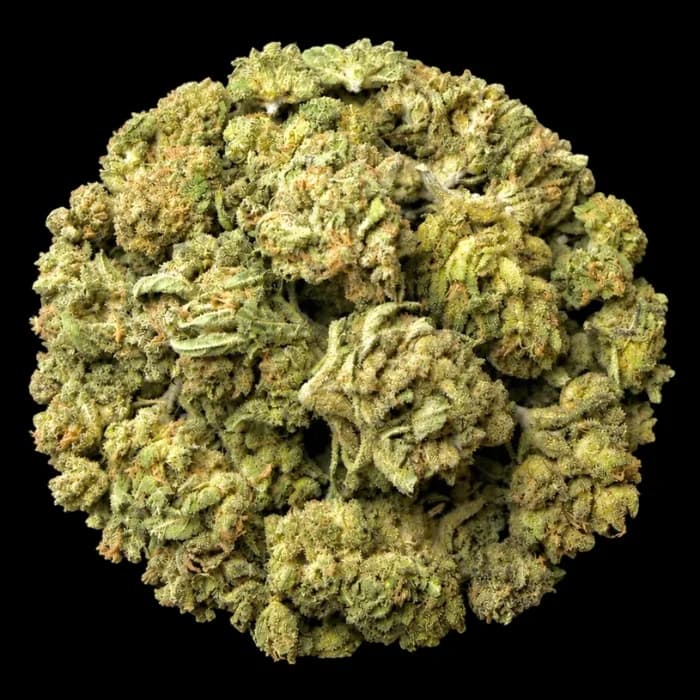 I'm a Product Reviewer, and These Are the 5 Litfarms Strains I'd Buy Again